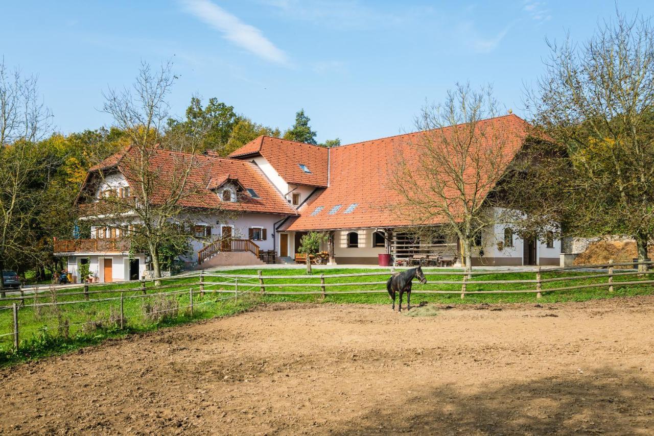 Apartment Zynga - Stud Farm Sentvid Pri Sticni Bagian luar foto