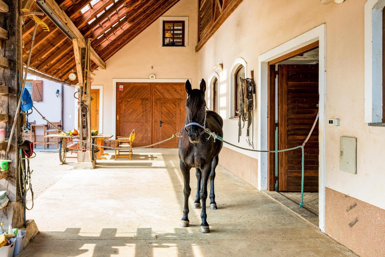 Apartment Zynga - Stud Farm Sentvid Pri Sticni Bagian luar foto